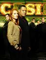 CSI Season 10 Trade Ad 001.jpg