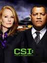 CSI Marg and Laurence s9 trade ad.jpg